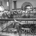 TUA22 Dental nurses from all over the country marched to Parliament in March 1974, to pressure the Government to restore their wage relativity with public health nurses. MPs were heard to comment: “It’s marvellous. They are so neat and tidy.” In any event they won relativity. Nurses are shown in Parliament building<br /><br />KEITH STEWART TUA22