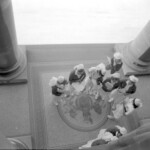 TUA25 Dental nurses from all over the country marched to Parliament in March 1974, to pressure the Government to restore their wage relativity with public health nurses. MPs were heard to comment: “It’s marvellous. They are so neat and tidy.” In any event they won relativity. Nurses are shown at the entrance.<br /><br />KEITH STEWART TUA25