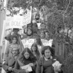 Kindergarten trainee teachers march to Parliament in Wellington in April 1974 . They were a part of a nationwide protest of over 1000 students against the low level of their salaries compared to primary school trainee teacher salaries and the unemployment benefit.<br /><br />KEITH STEWART TUAEC27