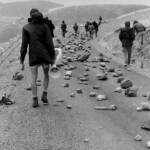 300 demonstrators, mostly young and students gathered from all over New Zealand at the Post Office in Timaru, on the East Coast of the South Island, They marched from there along the waterfront to Caroline Bay, a distance of about one mile.
From Caroline Bay the demonstrators moved out of town to Washdyke, about 3 miles to the north the site of the logistic end supply base for the Mt. John installation.