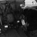 On Anzac Day in 1973 there was wreath laying by a number of countries at the Wellington Cenotaph. After the main ceremony a wreath was laid at the Wellington Cenotaph on behalf of the Victoria University Students Association. Peter Wilson, President of the VUWSA places the wreath.